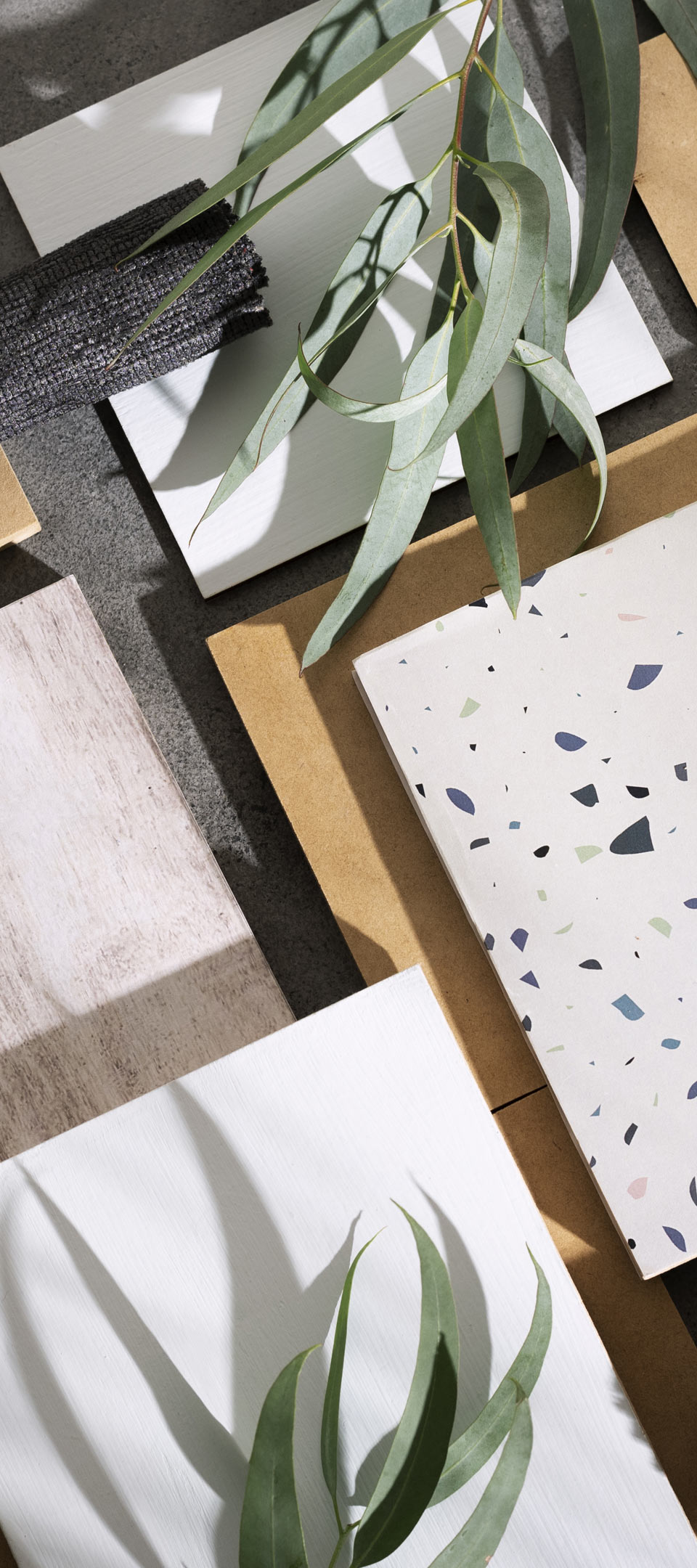 Explore our wide collections